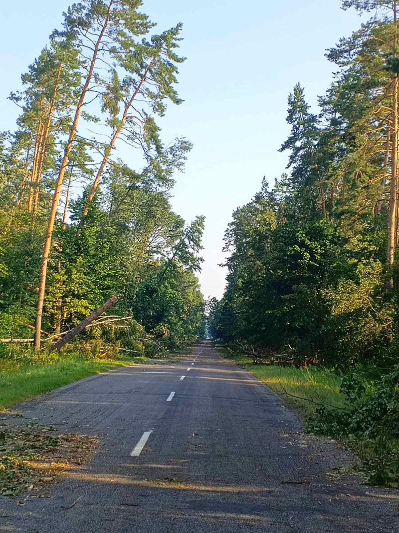 В Рогачевском районе проезды для транспорта по всем направлениям очищены