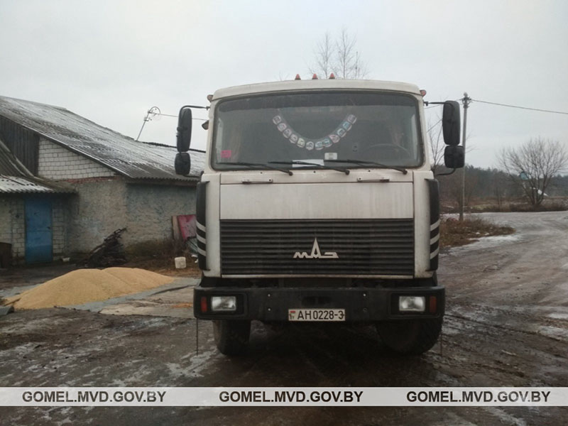 В Рогачевском районе водитель присвоил тонну зерна пшеницы для корма будущего домашнего скота