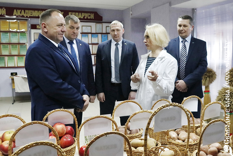 Продовольственная безопасность Рогачевщины. Обеспечить внутренний рынок  собственной продукцией