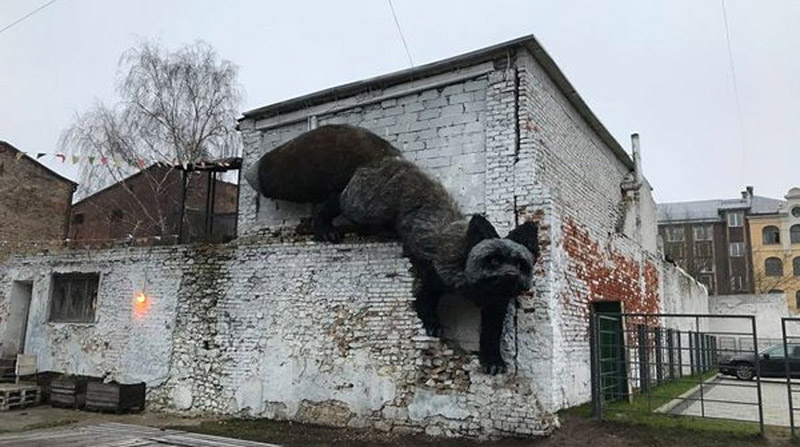 В Риге обнаружили гигантскую лису - фото