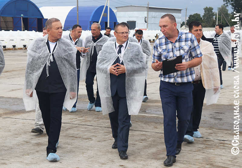 Делегация Навоийской области Узбекистана посетила Рогачевский район