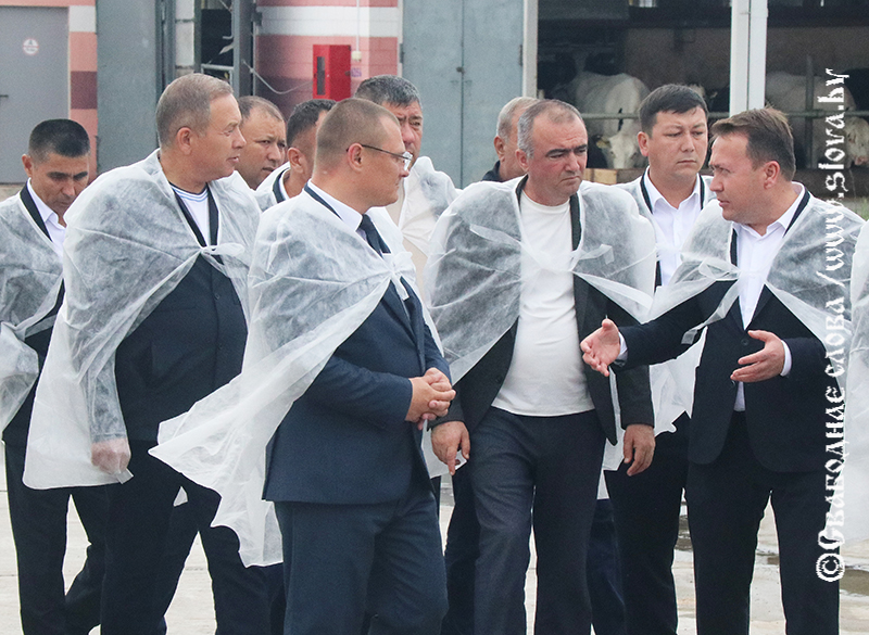Делегация Навоийской области Узбекистана посетила Рогачевский район